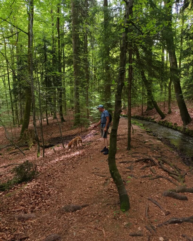 Wanderung im Hotzenwald