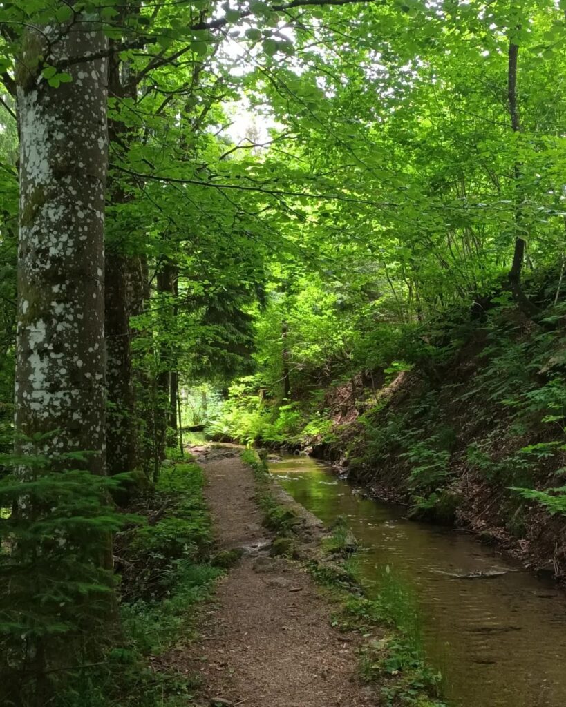 Wanderung im Hotzenwald