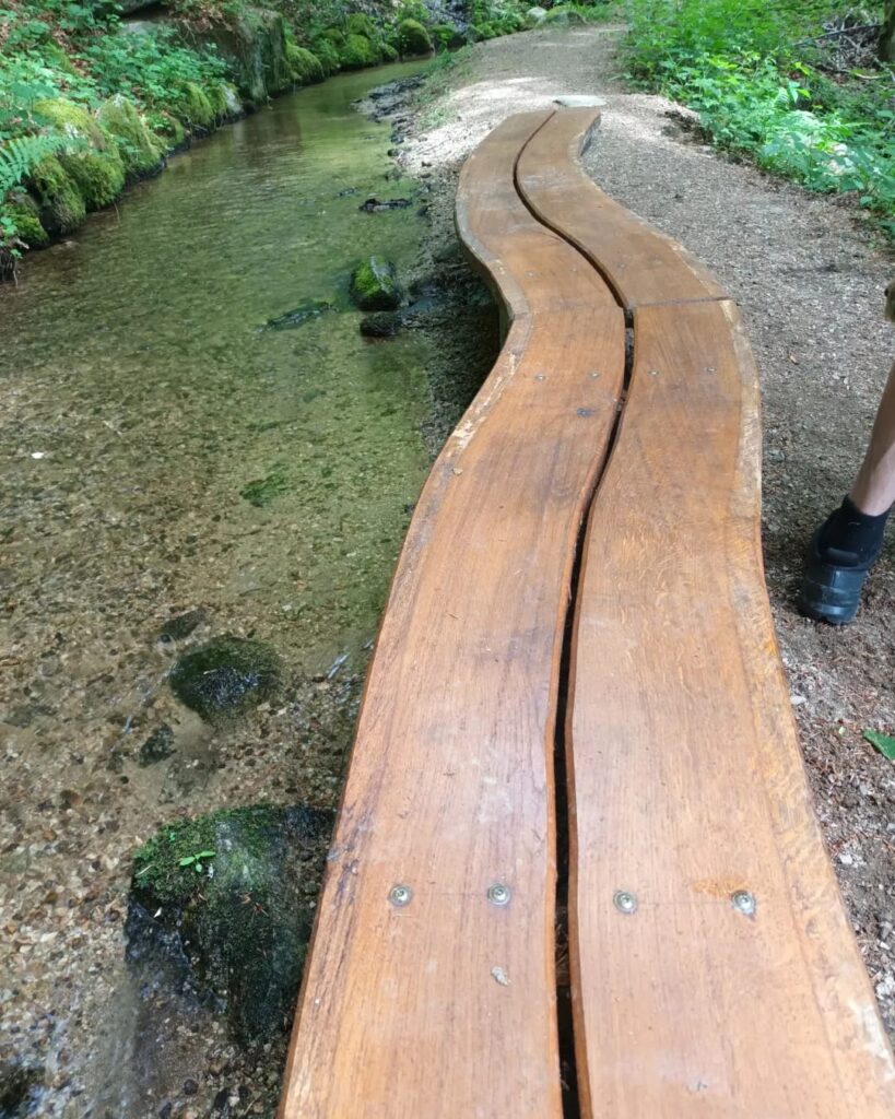 Wanderung im Hotzenwald