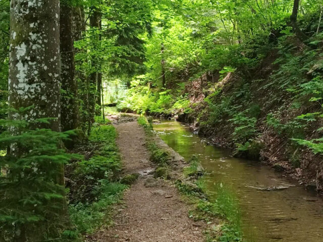 Wanderung im Hotzenwald