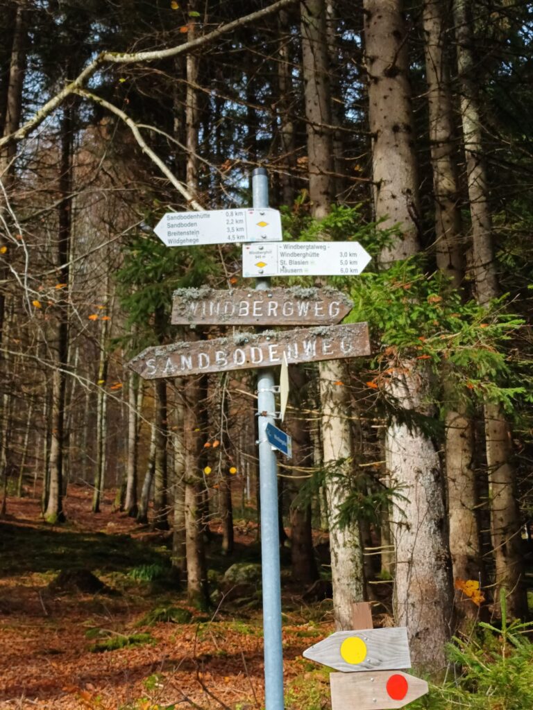 Wanderung zum Windberg