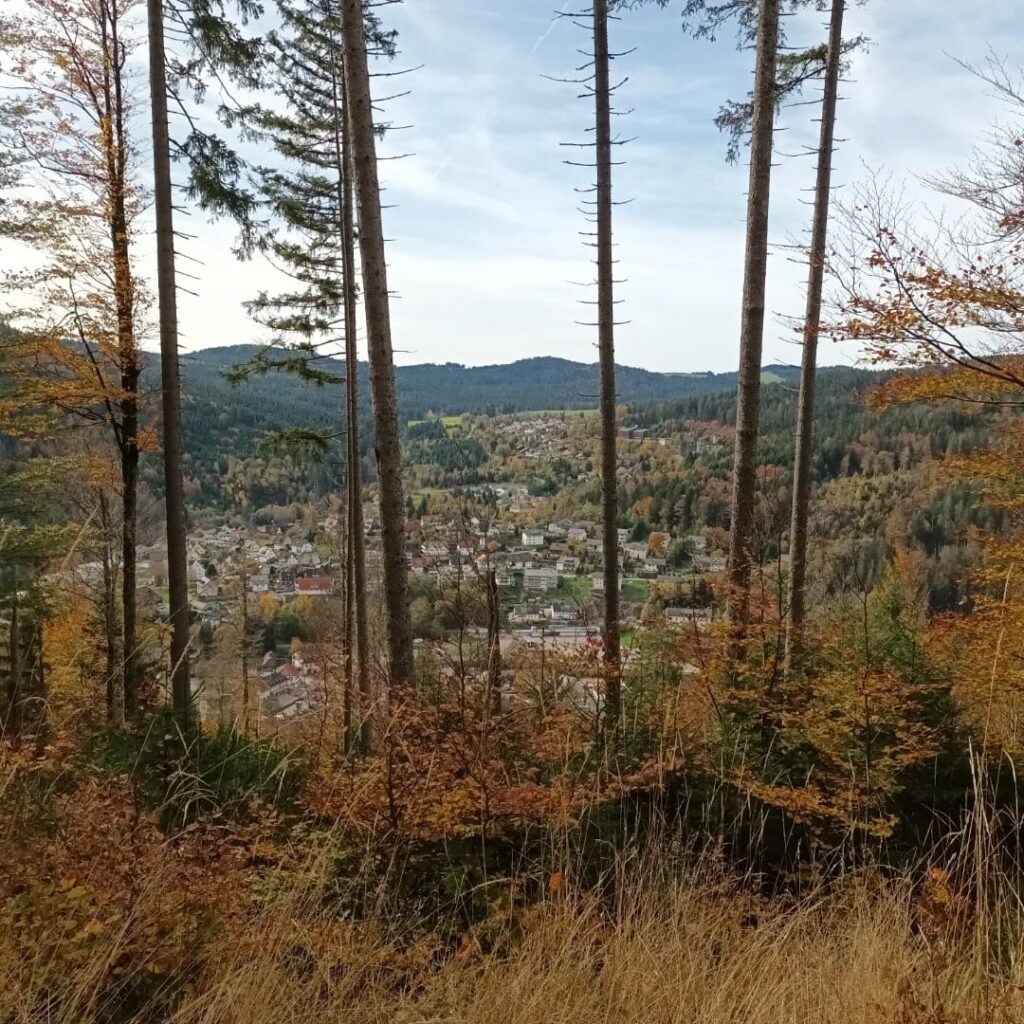 Wanderung zum Windberg