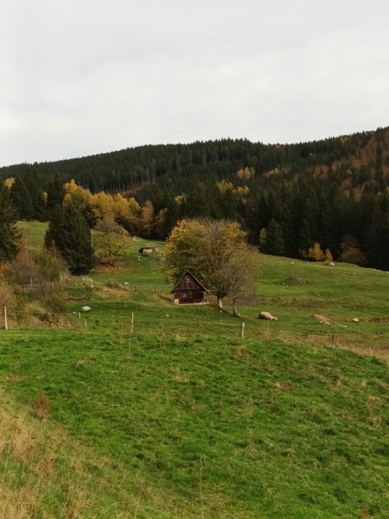 Wanderung zum Windberg