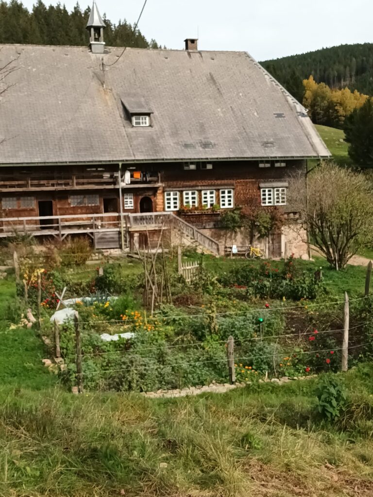 Wanderung zum Windberg