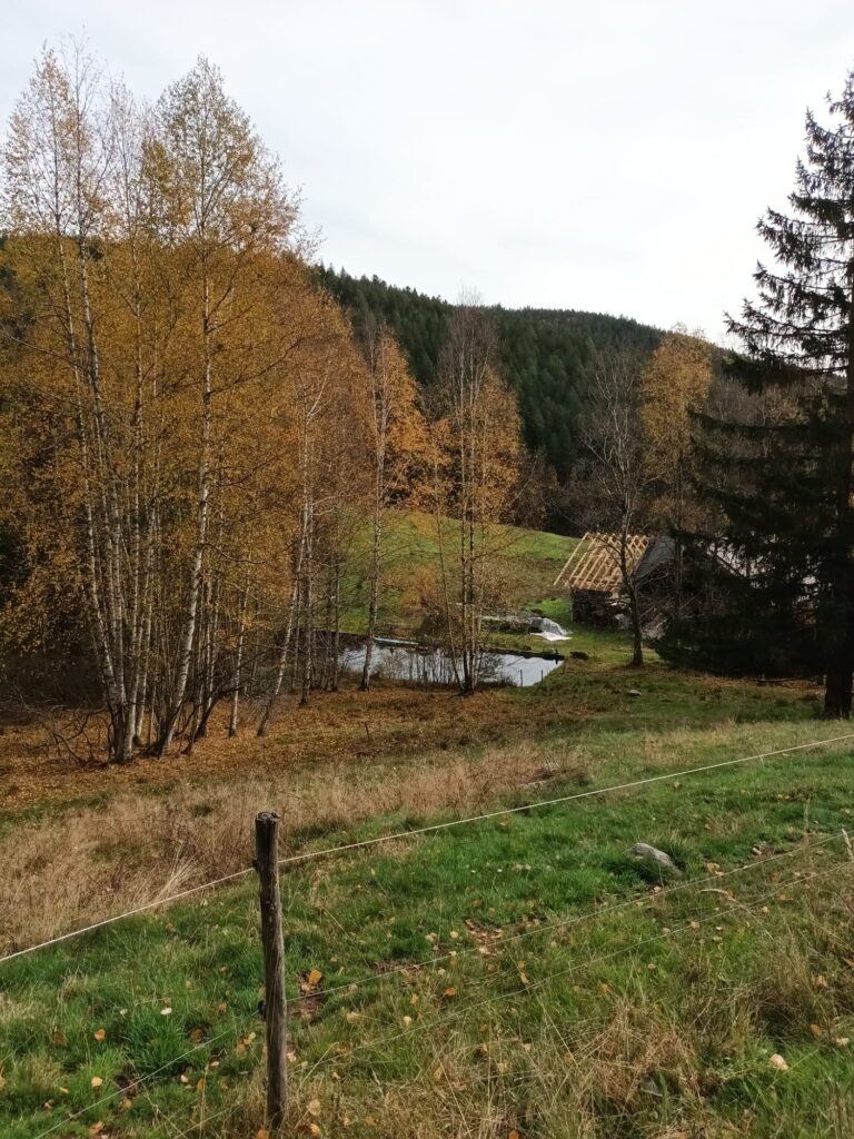 Wanderung zum Windberg