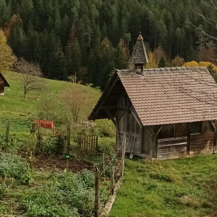 Wanderung zum Windberg