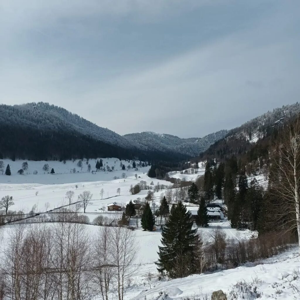 Winterwandern im Menzenschwand