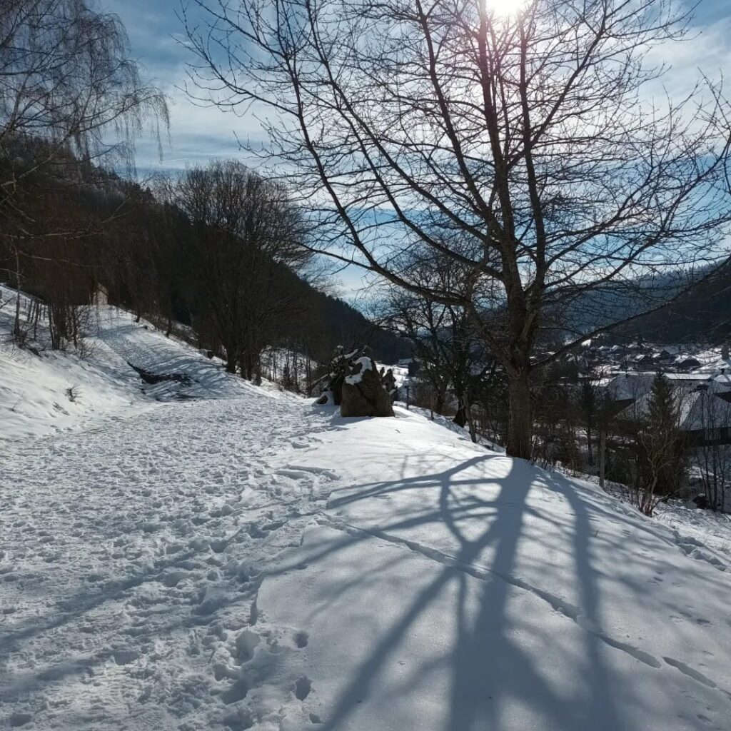 Winterwandern im Menzenschwand