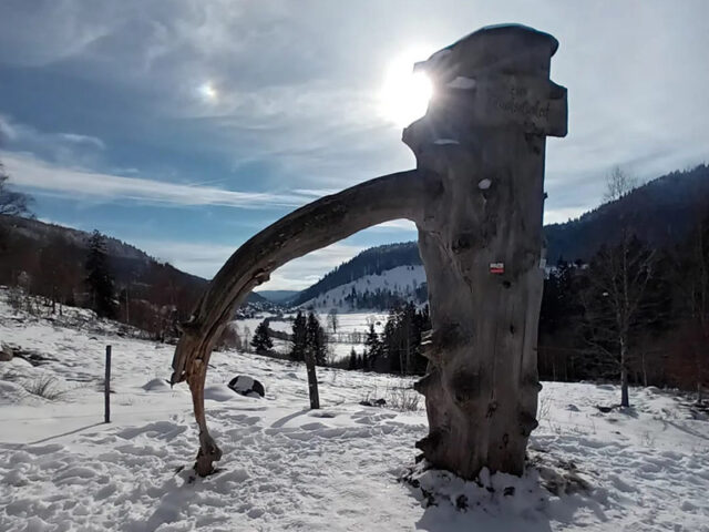 Winterwandern im Menzenschwand