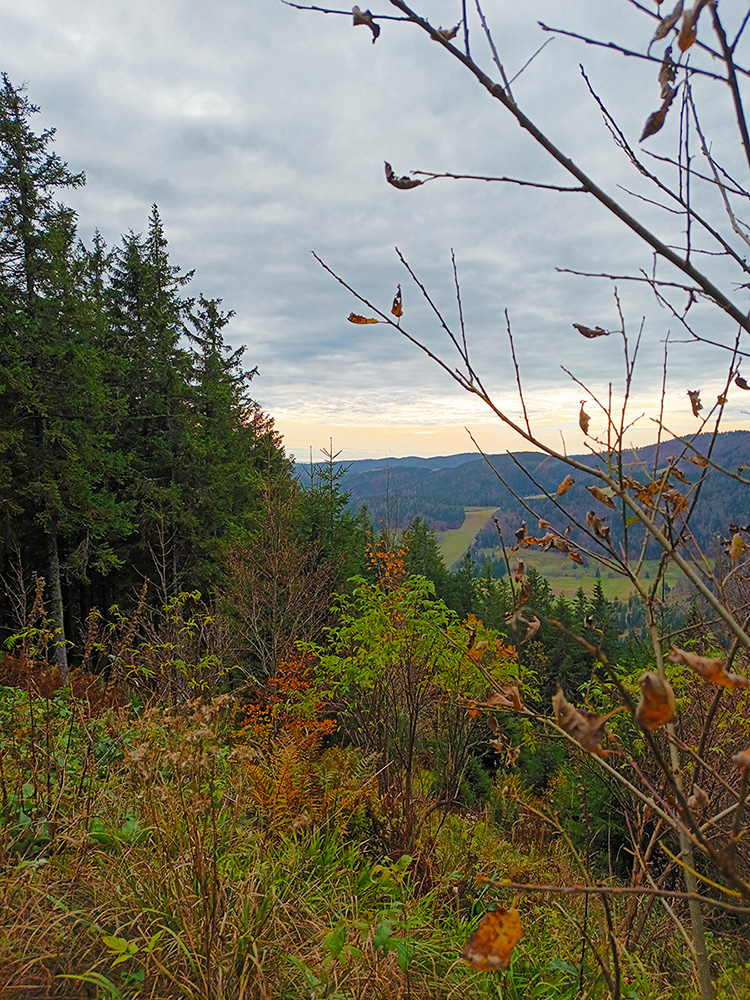 Wanderung zum Zweiseenblick