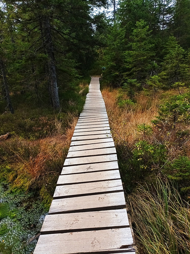 Wanderung zum Zweiseenblick